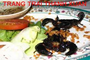 MÓN ĂN RƯỢU NGÂM BỌ CẠP