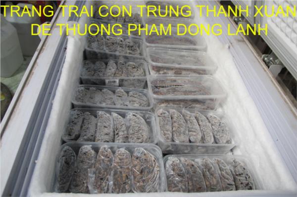 DẾ MÈN THƯƠNG PHẨM